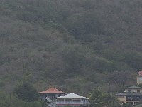 DSC 9605