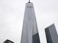 DSC 9517