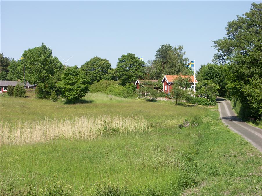 Sommarlandskap