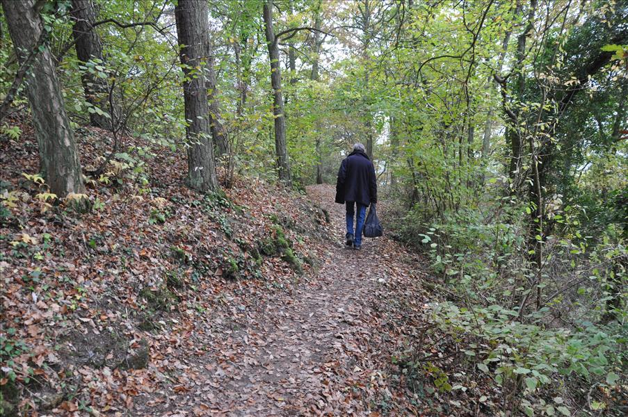 Vandringsled 10 till Traben-Trarbach
