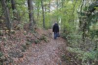 Vandringsled 10 till Traben-Trarbach
