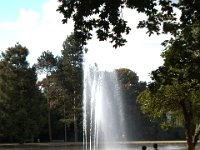 DSC 1246