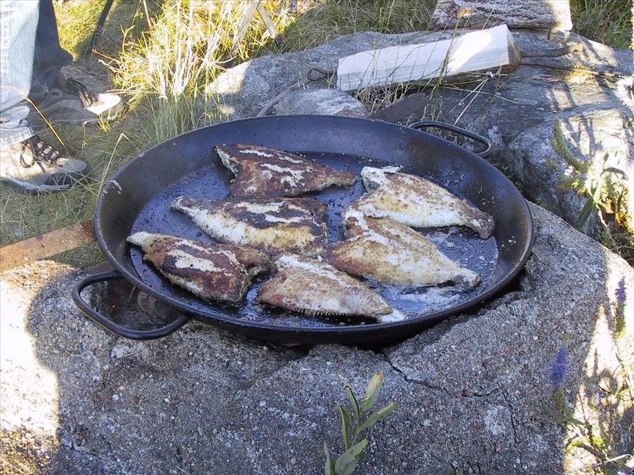 De rensade flundrorna steks i stor paellapanna