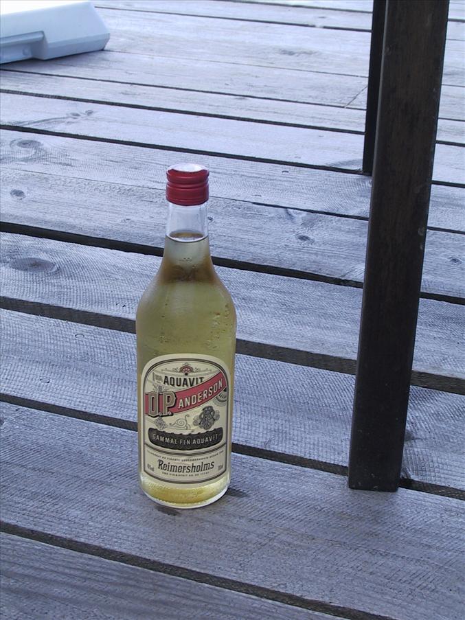 V�nnen O.P. v�ntar i skuggan av bordet...