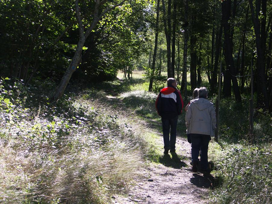 Till h�ger finns de nyfunna resterna av ett torp