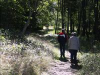 Till h�ger finns de nyfunna resterna av ett torp