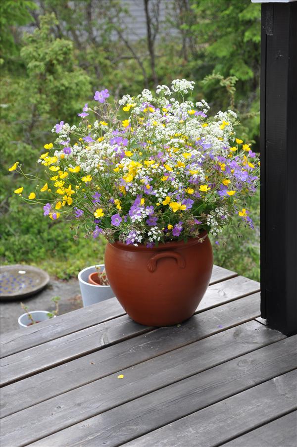 Midsommarbukett