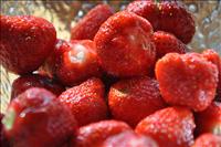 Midsommarb�r
