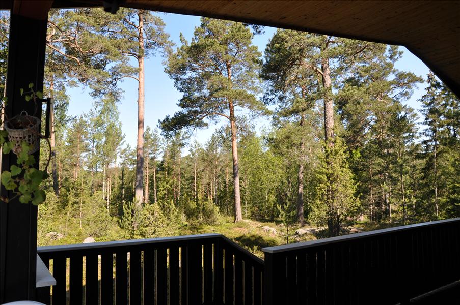 Utsikten fr�n verandan �r �ppnare nu efter tr�dgallringsaktiviteter