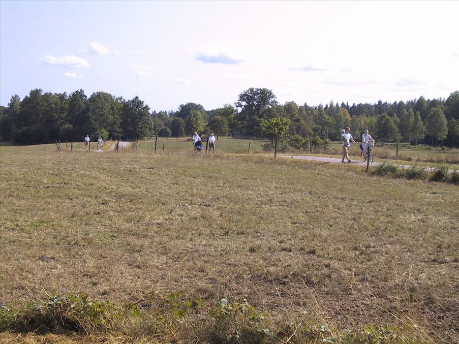 Upploppet med viss spridning i f�ltet.