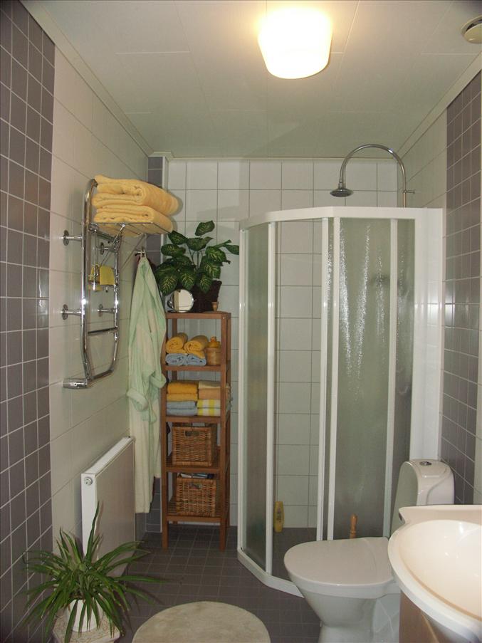 Inspektion av den renoverade badrummet - mycket fint!
