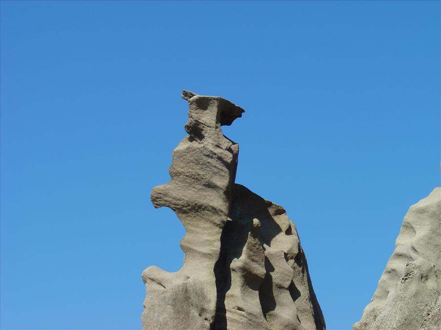 Formation