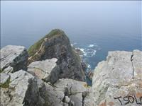 <center>17/3<br>Cape Point</center>