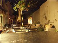 <center>24/3<br>G�rden i An African Villa</center>