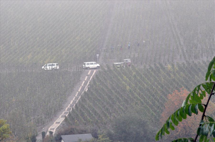Dimman l�ttade vid 11-tiden, men man kan skymta folk som sk�rdar vin d�r borta