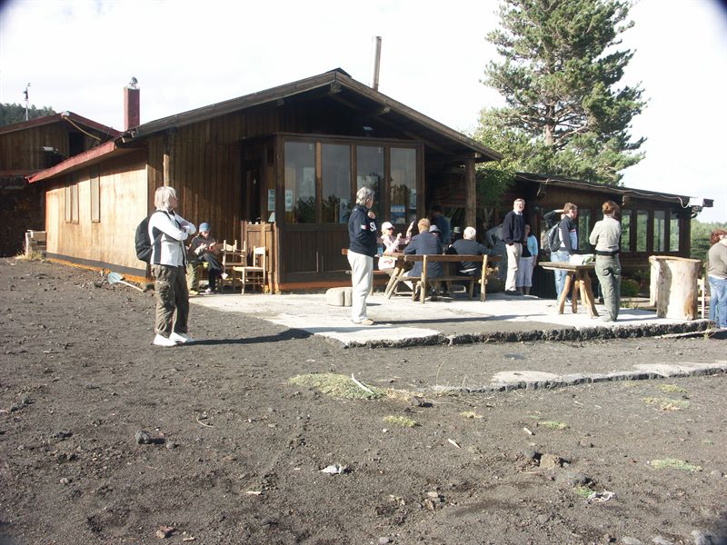 Vi har �kt p� tur till Etna. Tr�jorna �kte p� h�r vid 1800 m-niv�n.