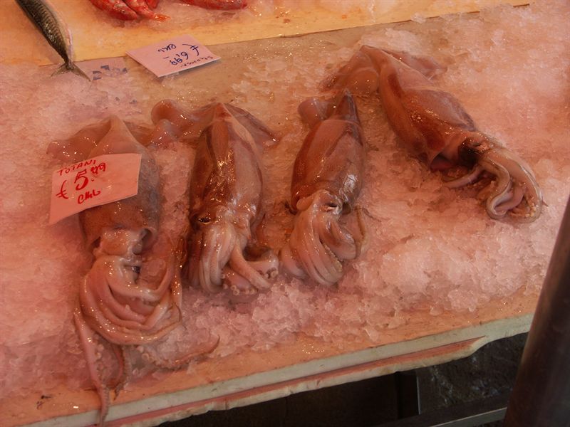 Bl�ckfisk