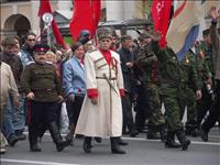 En bister �kta kossack