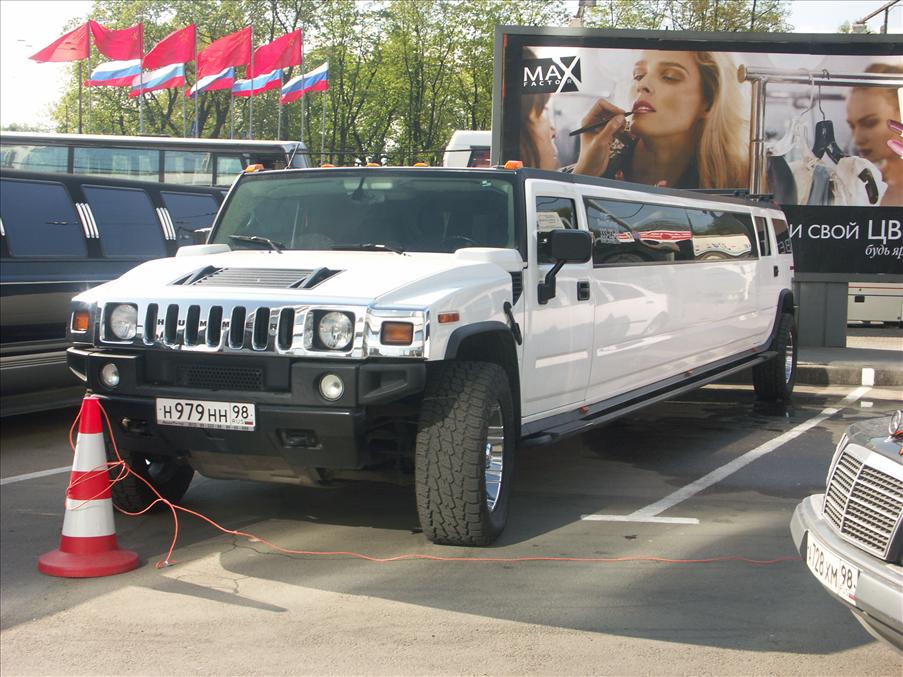 En Hummer av det l�ngre slaget