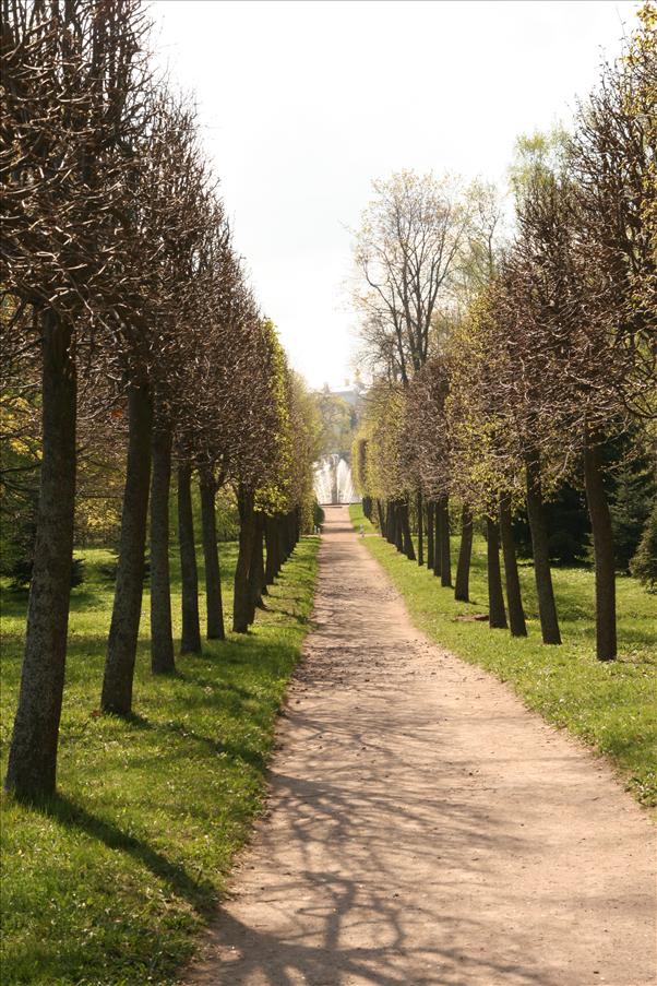Parken ha raka g�ngar och oftast en font�n i korsningarna mellan g�ngarna