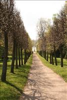 Parken ha raka g�ngar och oftast en font�n i korsningarna mellan g�ngarna
