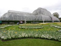 Palmhuset. Läs mer om Darwn -  Brevet från kolonierna
