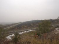 DSC 2087