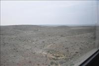 Gobi�knen