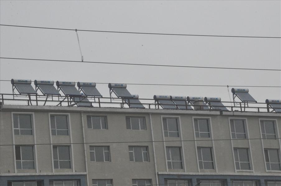 Solf�ngare �r vanliga