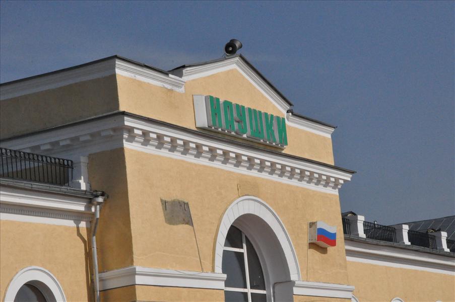 Naushki