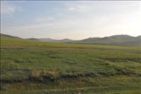 Nu �r vi i Mongoliet. Landskapet �r nu hel f�r�ndrat - h�r verkar det inte finnas n�gra tr�d. Det fick min amerikanske kup�granne att st�lla fr�gan: 