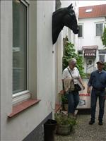 Ev bes�kte naturligtvis h�staff�ren (utan att g�ra n�got ink�p...)