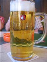 F�rst en Einbocken