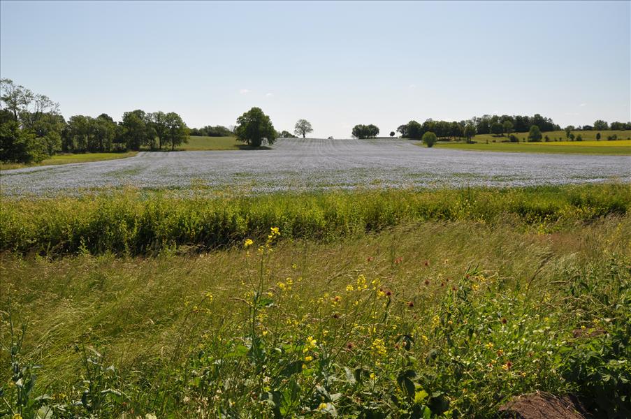 Linf�lt vid Bergs slussar