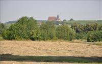Maria i ving�rden