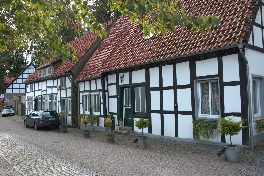 DSC 9576