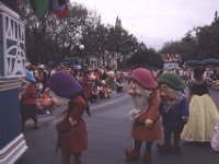 Disneyland