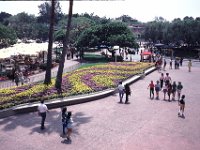 Los Angeles - Disneyland