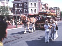 Los Angeles - Disneyland