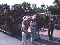 Los Angeles - Disneyland