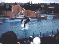 San Diego - Sea World
