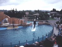 San Diego - Sea World