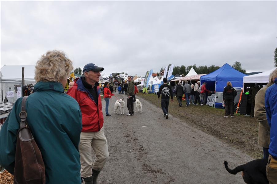 Bes�k p� F�viken Game Fair