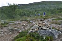 Rast vid tr�dgr�nsen