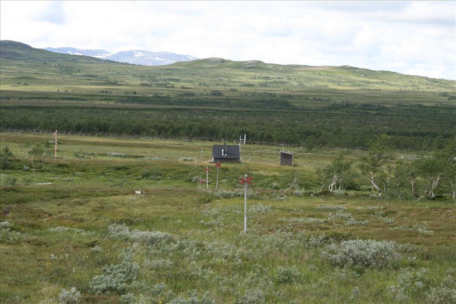 Vindskyddet vid Endalen