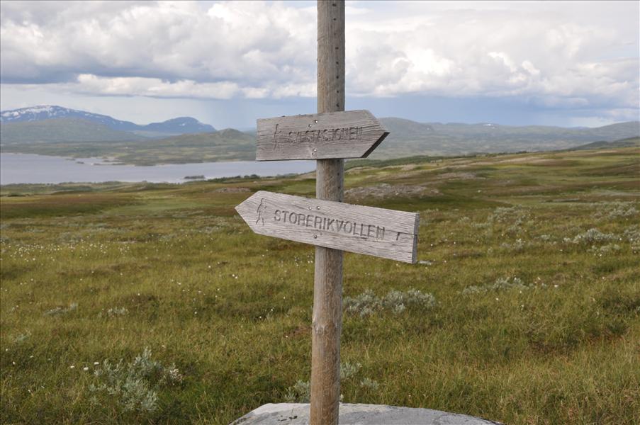 Vart ska vi?