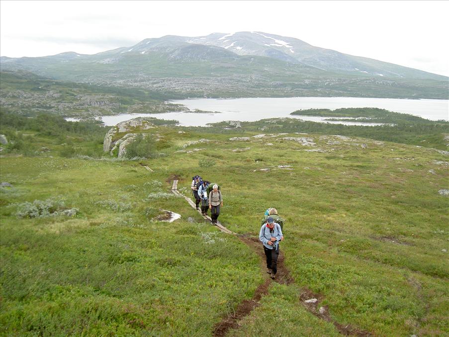 V�gval ovanf�r Nedalen
