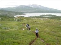 V�gval ovanf�r Nedalen