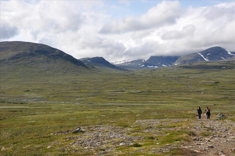 Sylarna