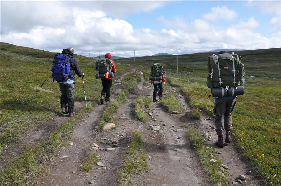 5-filigt mot Storulv�n